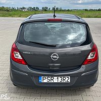 zdjecie ogloszenia