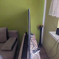 zdjecie ogloszenia