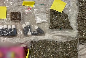 W sąsiednim powiecie: Ujawniono zabronione substancje-23844