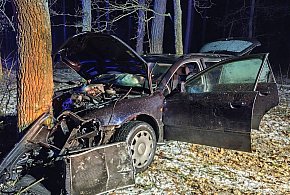 Chciał zgubić policyjny pościg. Jazdę zakończył na drzewie