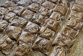 Akcja poznańskiej Policji na terenie Środy. Zatrzymany 41-latek