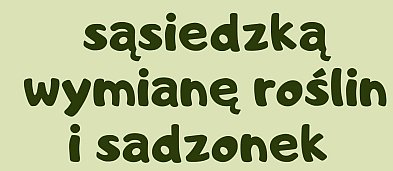 Sąsiedzka wymiana roślin i sadzonek-3458