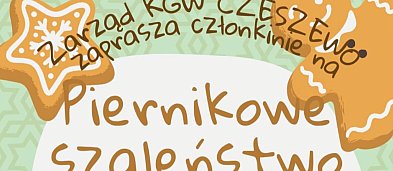 Sołeckie warsztaty - Piernikowe Szaleństwo-3668