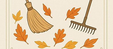 Wielkie sprzątanie wokół kościoła-3704