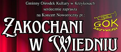 Zakochani w Wiedniu-3859