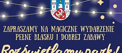 Rozświetlamy park-3907