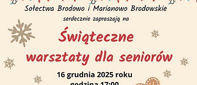 Sołeckie świąteczne warsztaty dla seniorów-3917