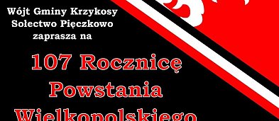 107. rocznica Powstania Wielkopolskiego-3946