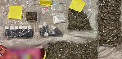 W sąsiednim powiecie: Ujawniono zabronione substancje-23844