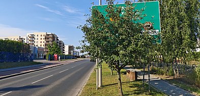 Przegląd oznakowania i dróg