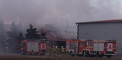 Pożar niedaleko Środy Wielkopolskiej. W budynku były zwierzęta