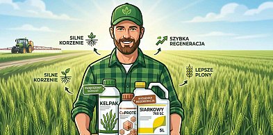Wiosenna regeneracja zbóż i rzepaku: Postaw na 30 lat doświadczenia AGROFARM