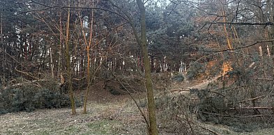 Zapomniany kirkut nad Wartą