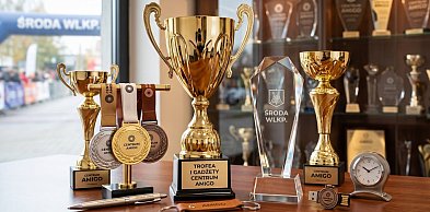Wyjątkowe gadżety: puchary, medale i trofea sportowe w Amigo