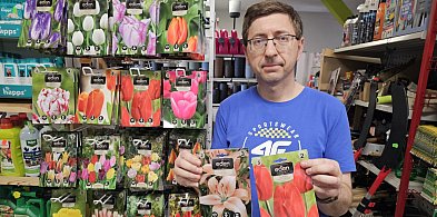 RomTech: Cebulki kwiatowe – jesienny obowiązek każdego ogrodnika-23192