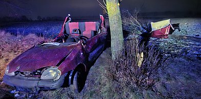 Uderzył w drzewo, które się przewróciło. Mężczyzna uwięziony w pojeździe-23895