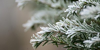 Spadnie temperatura. Możliwe oblodzenia nawierzchni-24178