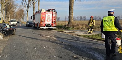 Wymusił pierwszeństwo skręcając w drogę podporządkowaną