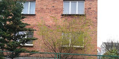 Została sama z córką i nastoletnią siostrą