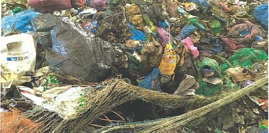 To nie może tak wyglądać! Wyższe opłaty za wywóz odpadów?