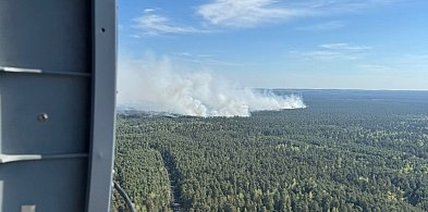 Płonie Puszcza Solska! Na miejsce jadą strażacy z Wielkopolski