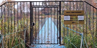 Archeolodzy schodzą pod wodę. Wyspa Edwarda wciąż niedostępna