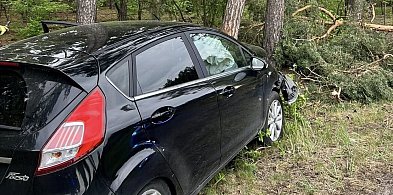 Poszukiwali kierowcy rozbitego samochodu