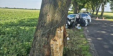 W zdarzeniu poszkodowane zostały dwie osoby
