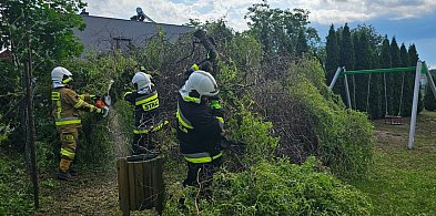 Wiatr łamał drzewa jak zapałki. Zerwany dach, uszkodzone samochody...