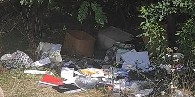 Nielegalne wysypisko. Sprawca został ukarany. -23024