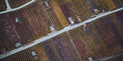 RKS Śnieciska zaprasza do składania ofert-23402