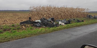 Więcej śmieci w rowach i lasach-23748