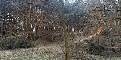 Zapomniany kirkut nad Wartą