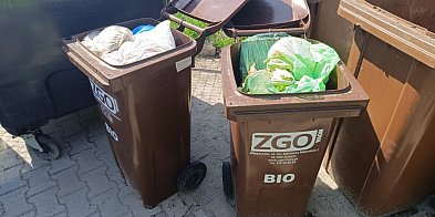 Nieprawidłowa segregacja odpadów