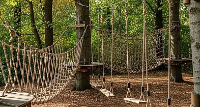 Place zabaw, wybieg dla psów, park linowy - lista projektów Budżetu Obywatelskiego-23006