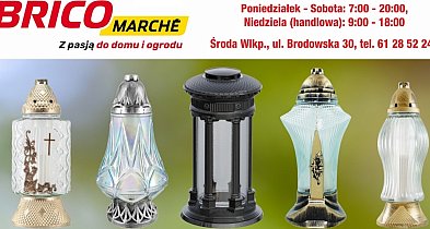 Środa Wielkopolska: w Bricomarché zrobisz zakupy na 1 listopada w SUPER cenach-23390