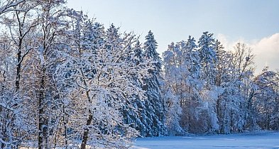 Nadal ślisko na drogach i chodnikach. Sylwester w zimowej scenerii-24205