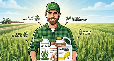 Wiosenna regeneracja zbóż i rzepaku: Postaw na 30 lat doświadczenia AGROFARM