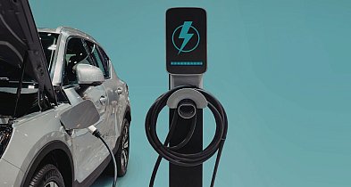 Specjalista ds. Social Media i Administracji Biura (k/m) – Środa Wielkopolska