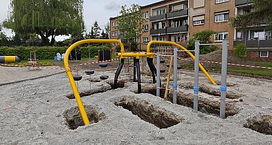 Pszczeli plac zabaw nabiera kształtów