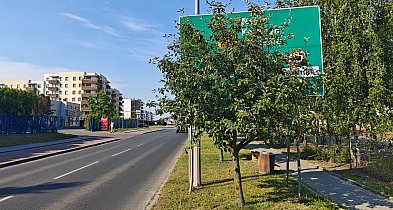 Przegląd oznakowania i dróg