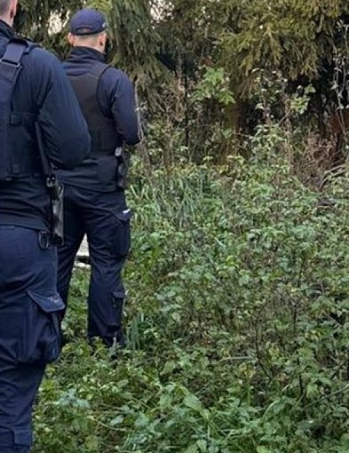 Nie bądź obojętny – reaguj!-24187