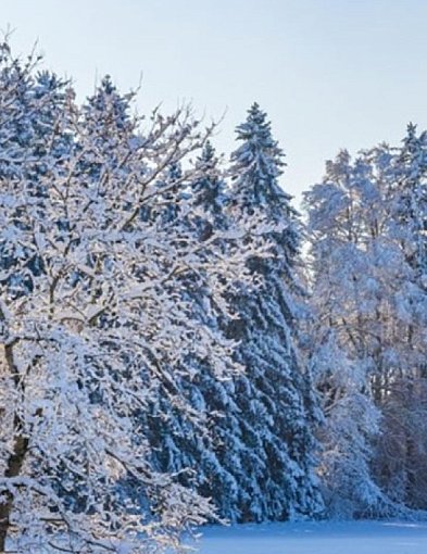 Nadal ślisko na drogach i chodnikach. Sylwester w zimowej scenerii-24205