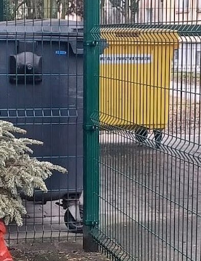 Odbiór choinek na terenie miasta i gminy-24325