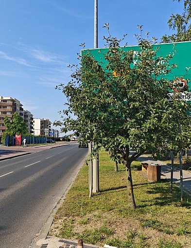 Przegląd oznakowania i dróg