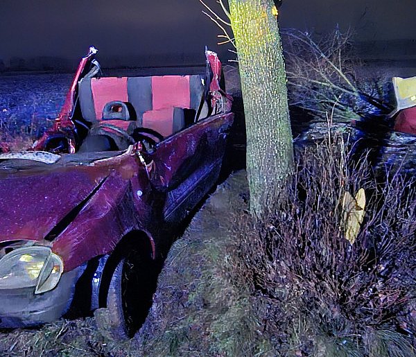 Uderzył w drzewo, które się przewróciło. Mężczyzna uwięziony w pojeździe-23895