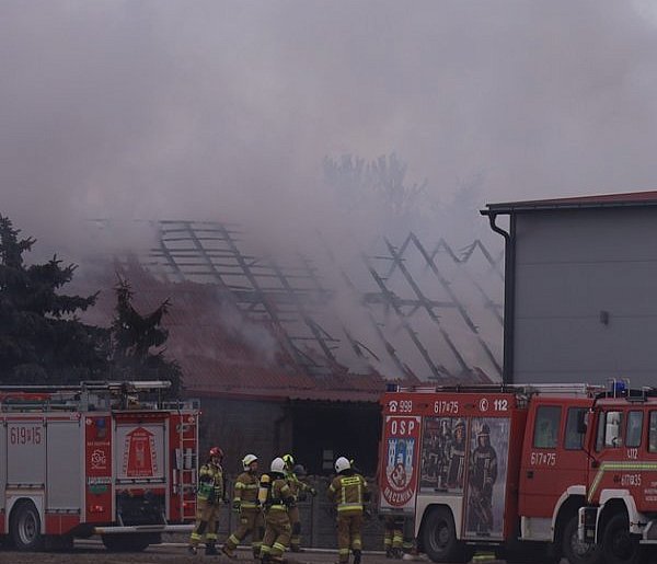 Pożar niedaleko Środy Wielkopolskiej. W budynku były zwierzęta