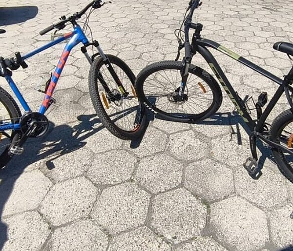 Policjanci zatrzymali sprawcę kradzieży