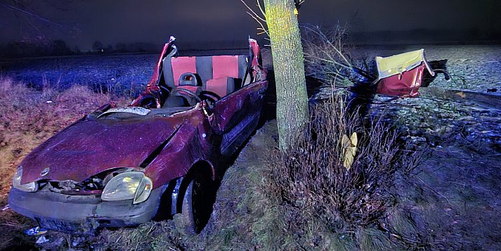 Uderzył w drzewo, które się przewróciło. Mężczyzna uwięziony w pojeździe