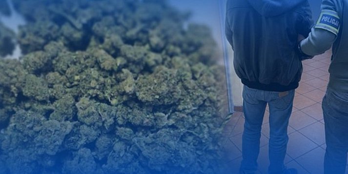 Rośnie liczba przestępstw narkotykowych. Zatrzymany mieszkaniec powiatu średzkiego